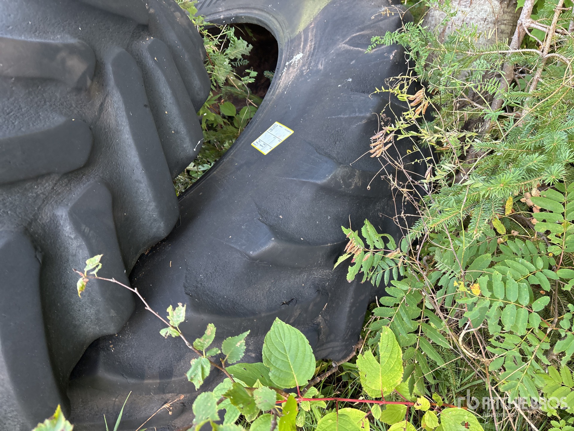 Titan QUANTITY OF (2) 18.4R46