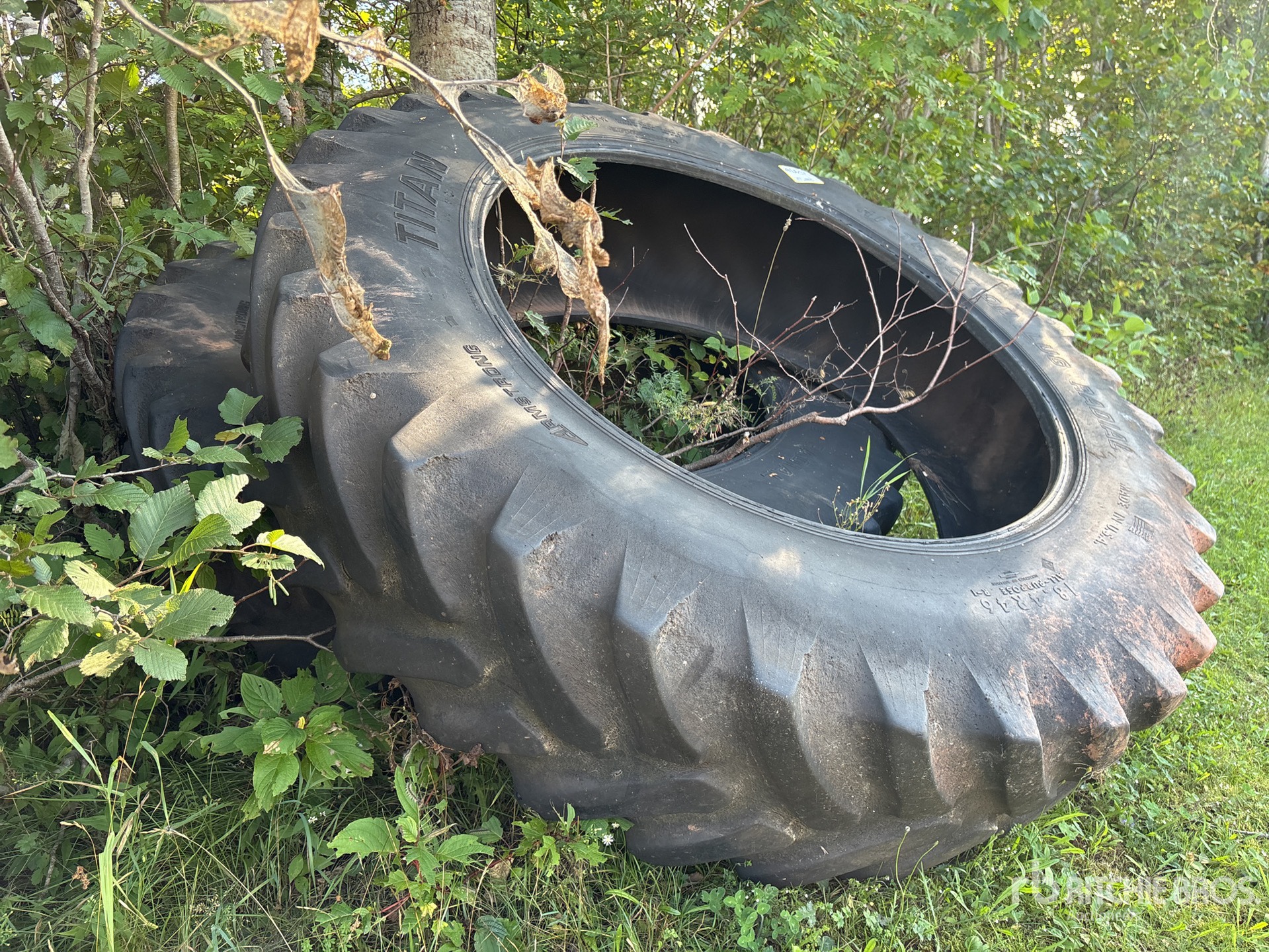 Titan QUANTITY OF (2) 18.4R46