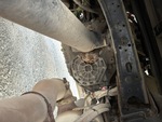 4 Underbody - Truck with Trasmissione