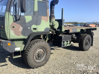 General Appearance with Paint