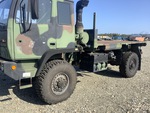 General Appearance with Paint
