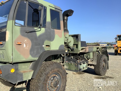 General Appearance with Paint