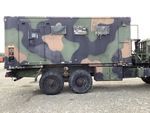 General Appearance with Paint