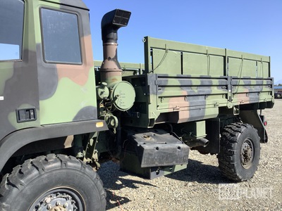 General Appearance with Paint