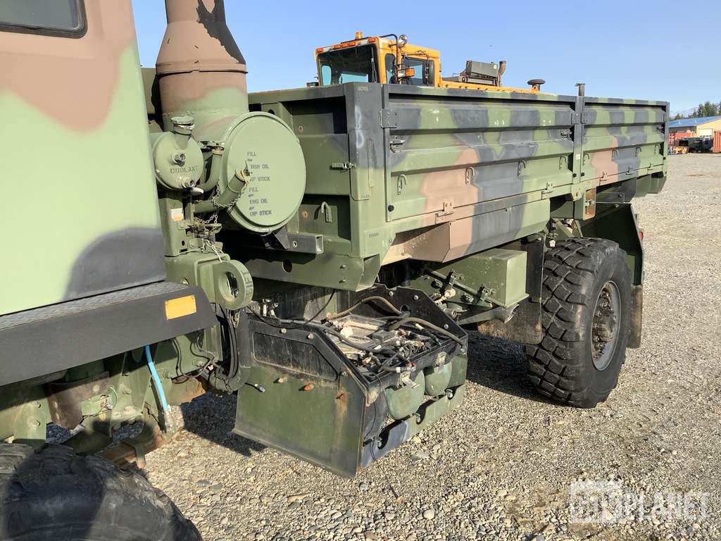 General Appearance with Paint
