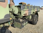 General Appearance with Paint