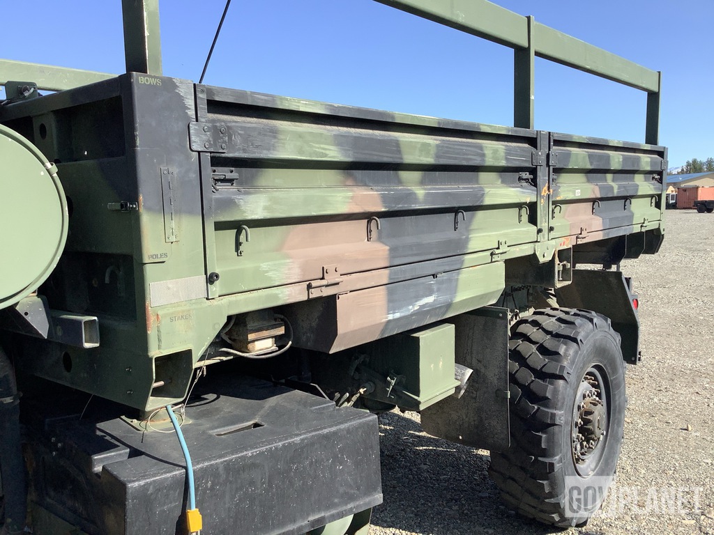 General Appearance with Paint