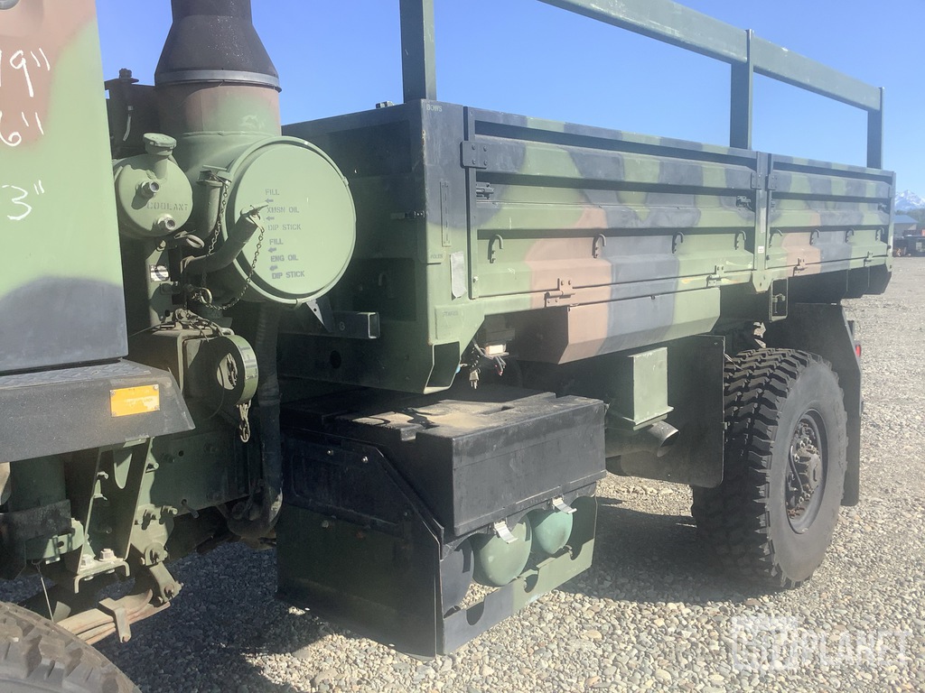 General Appearance with Paint