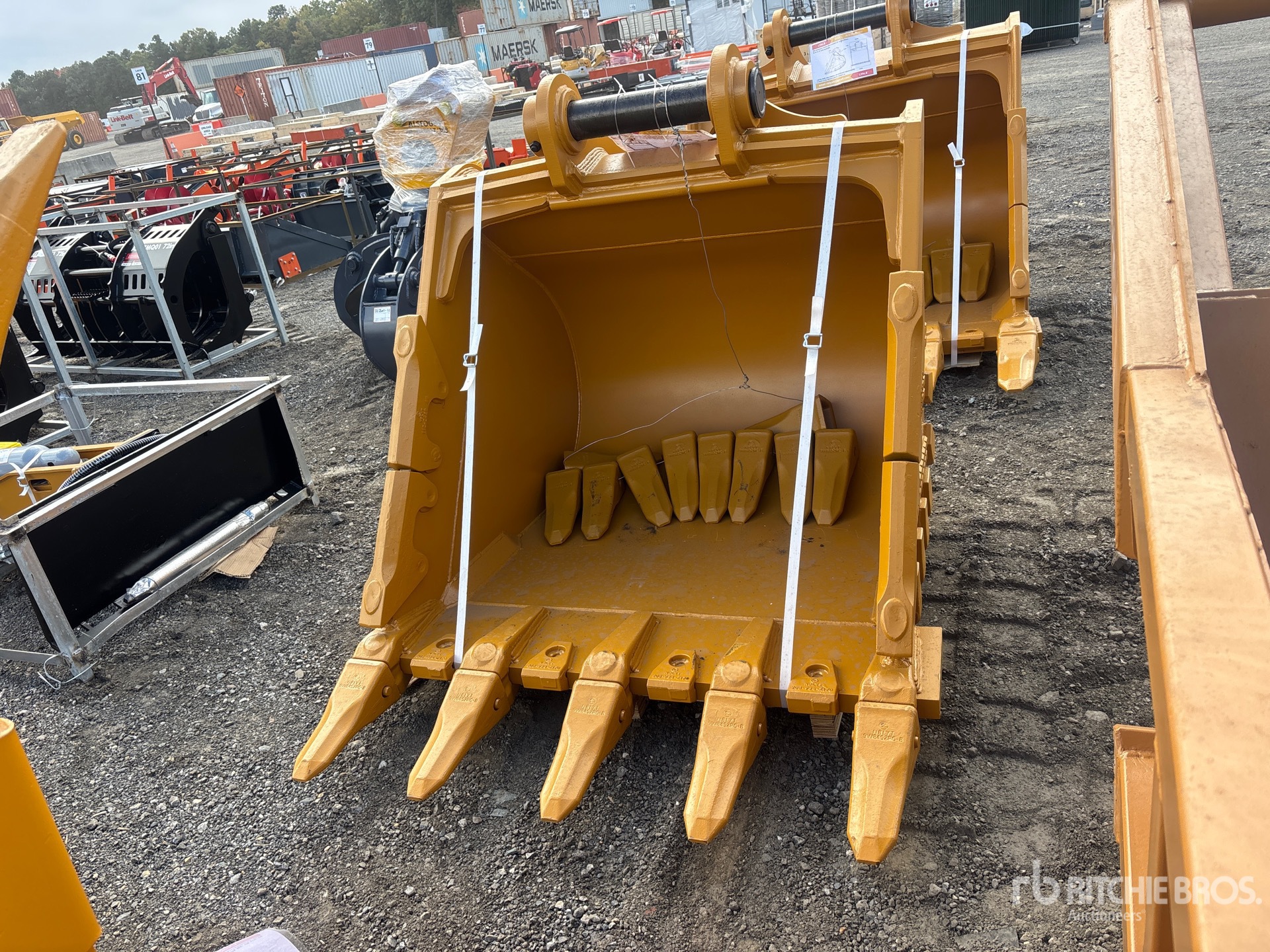 Photo of 2026 LYALS ALSEB336