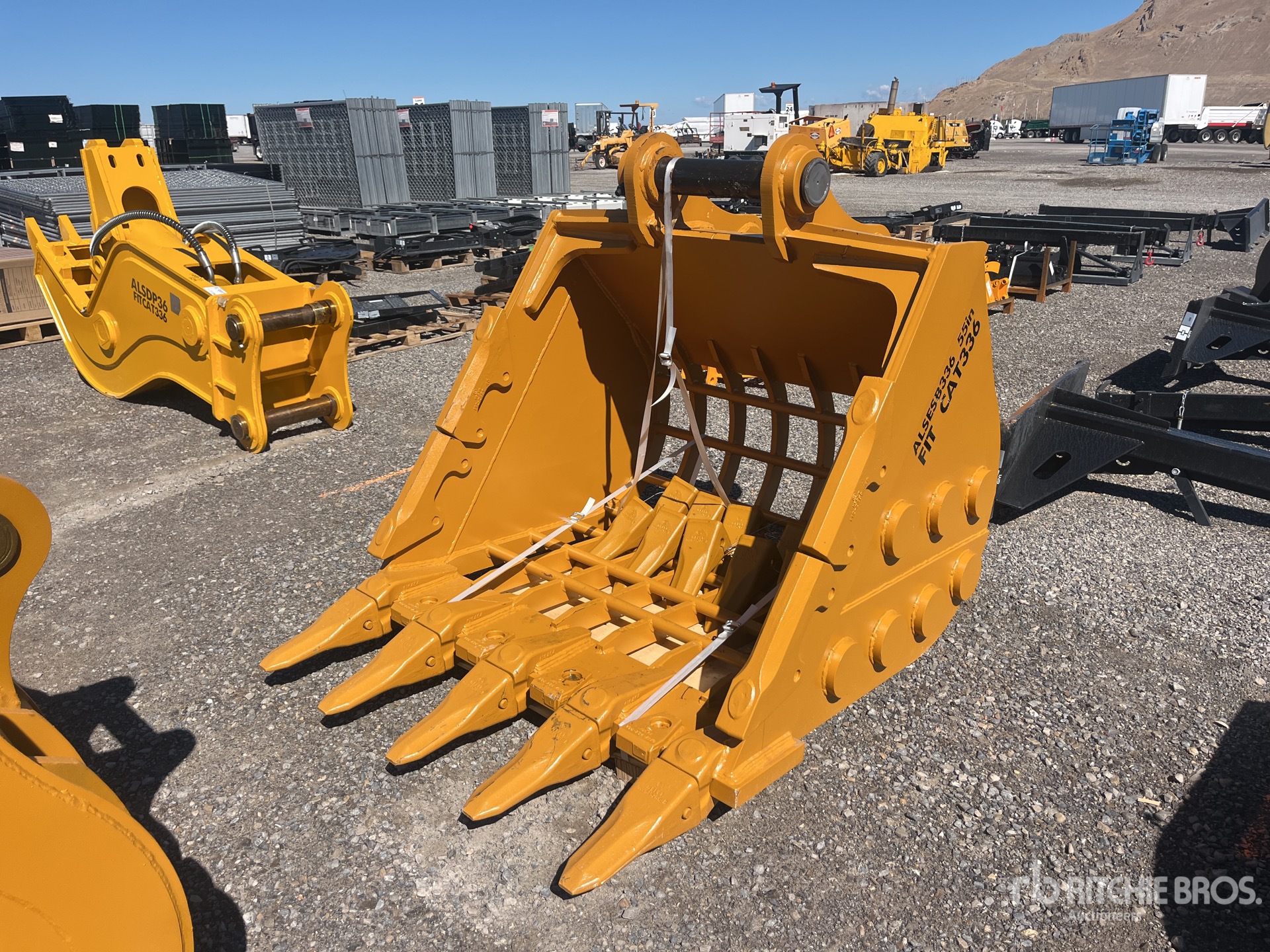 Photo of 2026 LYALS ALSESB336