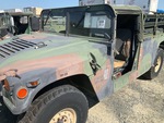 General Appearance with Paint