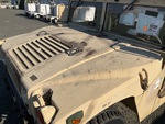 General Appearance with Paint