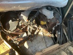 Engine with Oil Pump/Tach Drive (behind doghouse cover)
