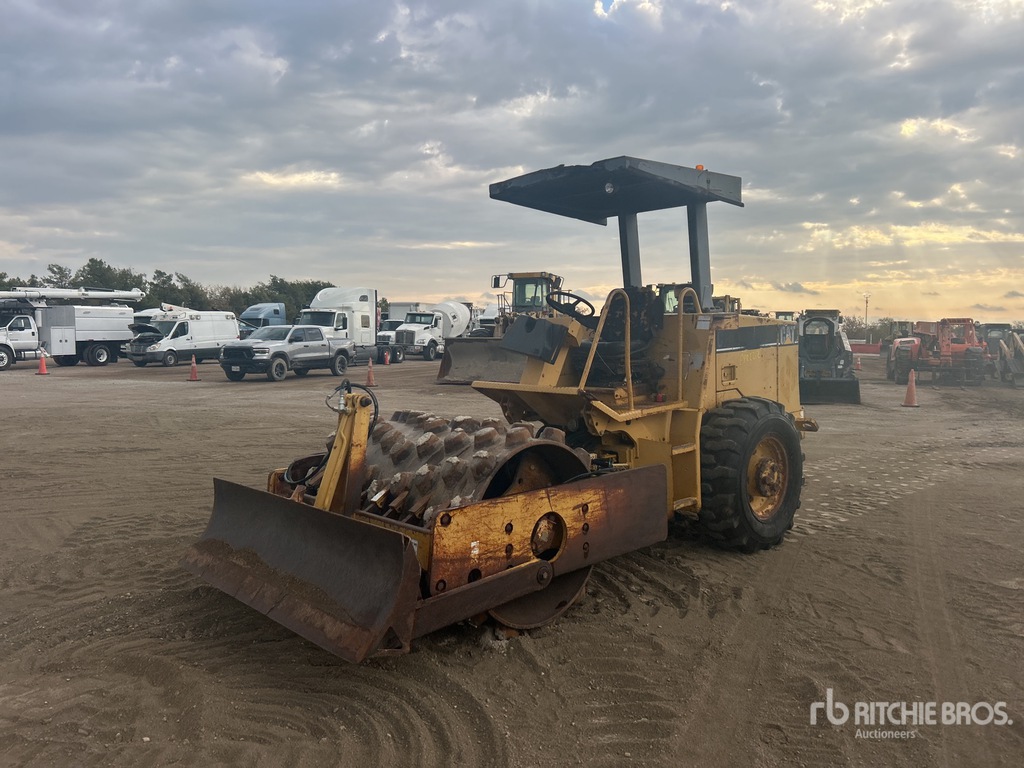 General Appearance with Spin
