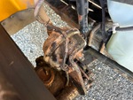 Brakes with