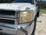 General Appearance with Exterior Lights