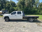 General Appearance with Paint