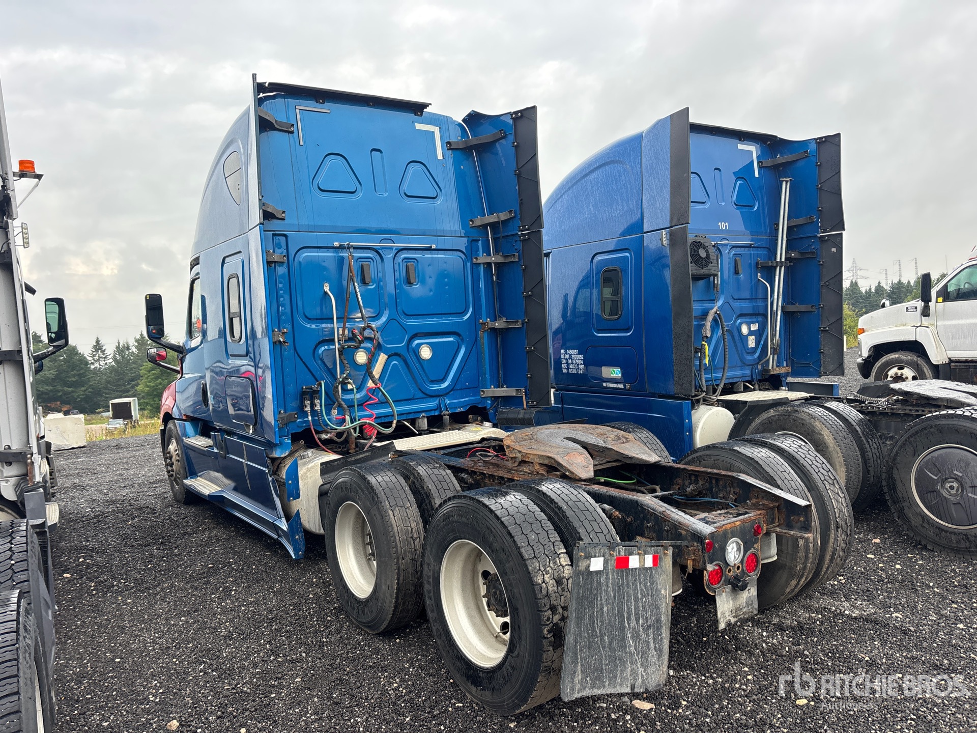 2019 Freightliner CASCADIA 126