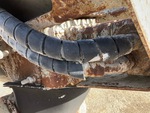 Underbody with Hoses