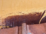 General Appearance with Paint
