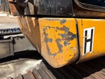 General Appearance with Paint