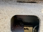 Undercarriage with Left Track Tensioner