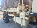 General Appearance with Paint