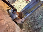 Chassis with Steering Linkage