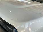General Appearance with Paint