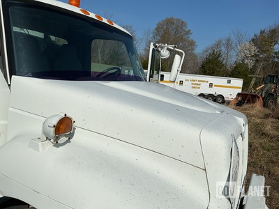 General Appearance with Paint