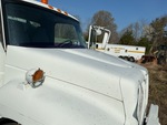 General Appearance with Paint