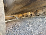 Chassis with Belly pans