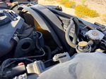 Engine with Radiator