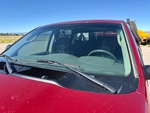 General Appearance with Glass
