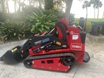 General Appearance with Paint