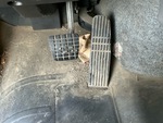 Cab with Brake Control