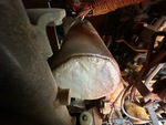 Engine with Exhaust System