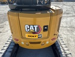 General Appearance with Paint