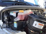 Engine with Radiator