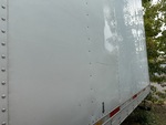 General Appearance with Pintura
