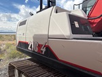 General Appearance with Paint