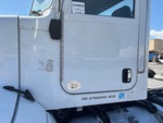 General Appearance with Paint