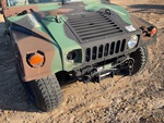 General Appearance with Paint