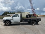 General Appearance with Paint