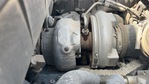 Engine with Exhaust System