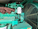 Engine with Cooling System Leaks