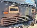 General Appearance with Paint