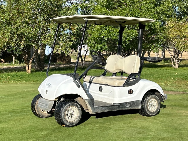 2016 Yamaha YDREX6 Golf Cart