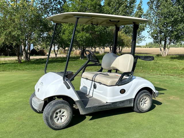 2016 Yamaha YDREX6 Golf Cart