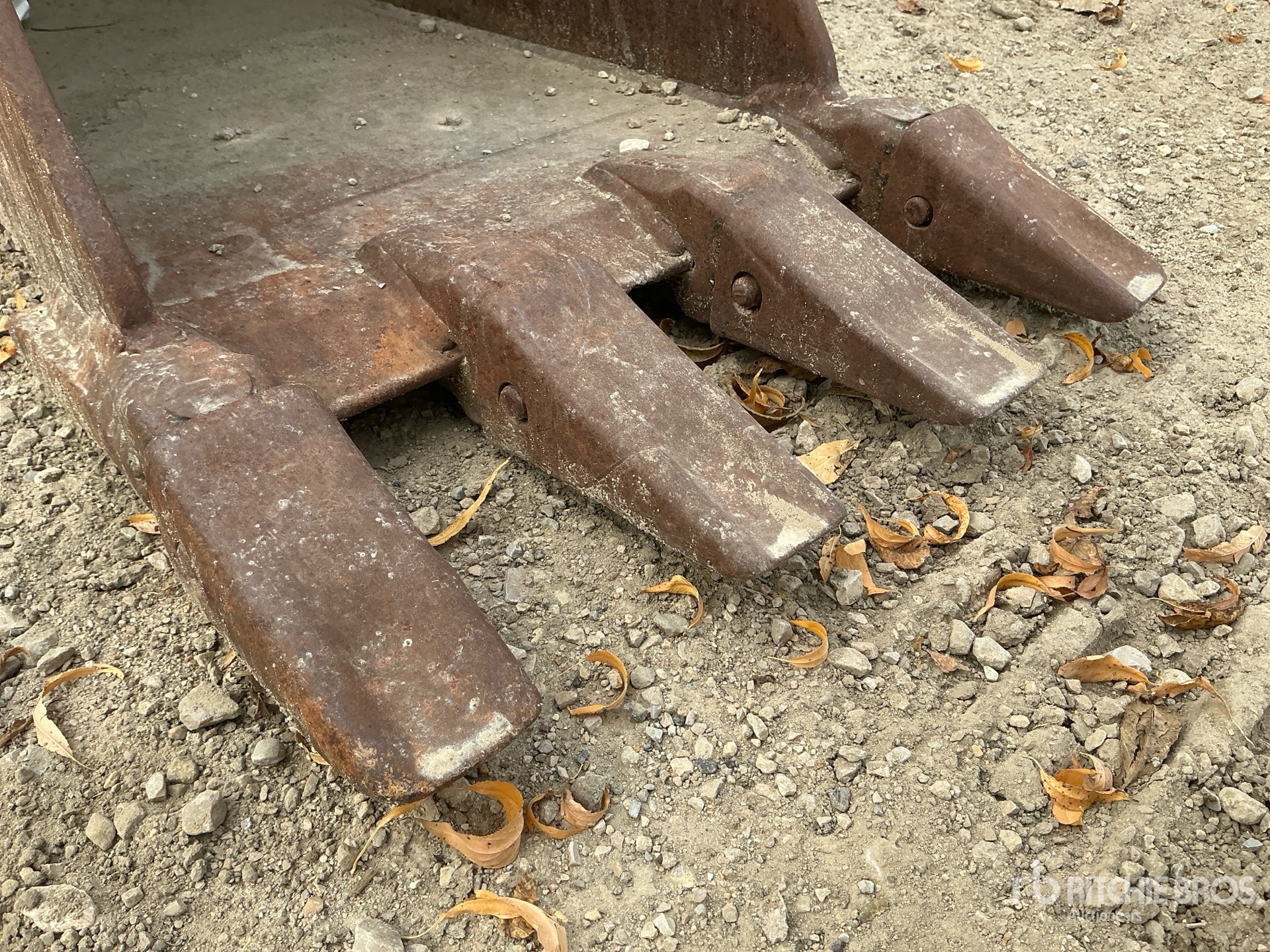 Caterpillar 16 IN - FITS CAT 304